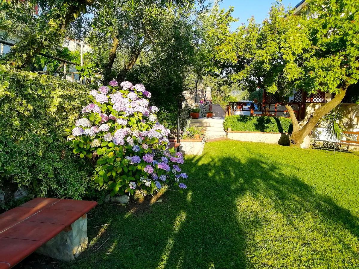 B&B Maison Villa Vittorio Avella Eksteriør billede